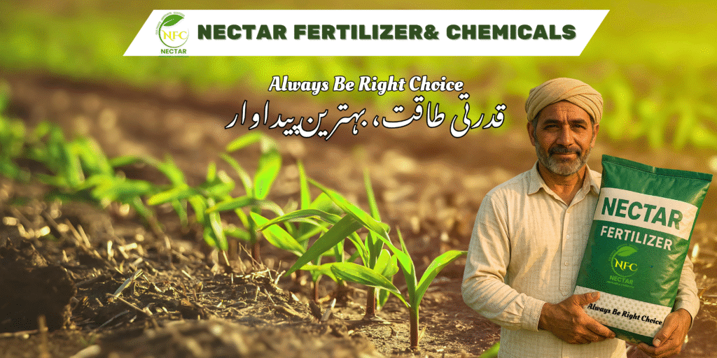 best organic fertilizer in Pakistan